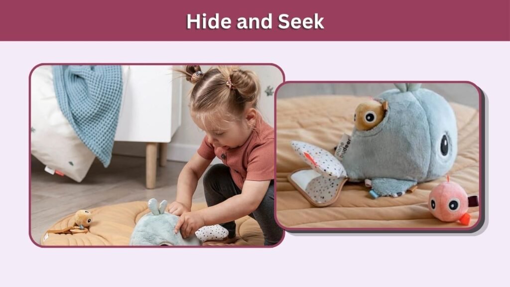 Hide and Seek