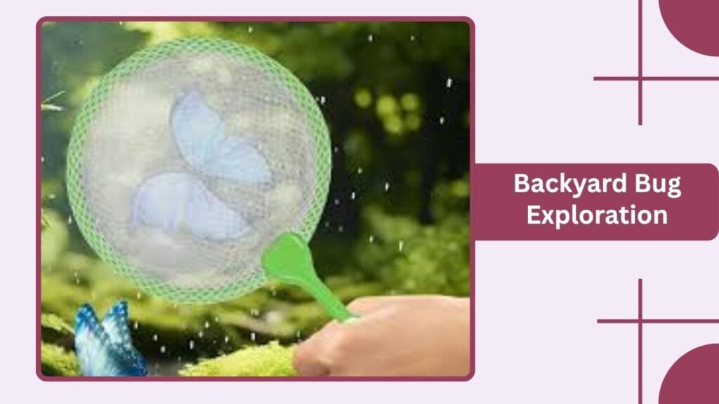 Backyard Bug Exploration