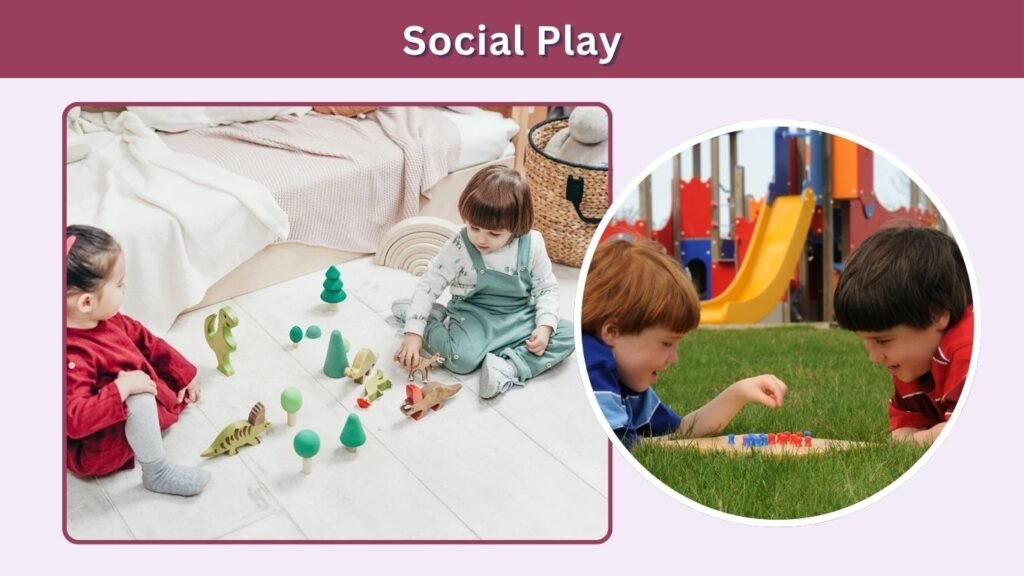 Social Play